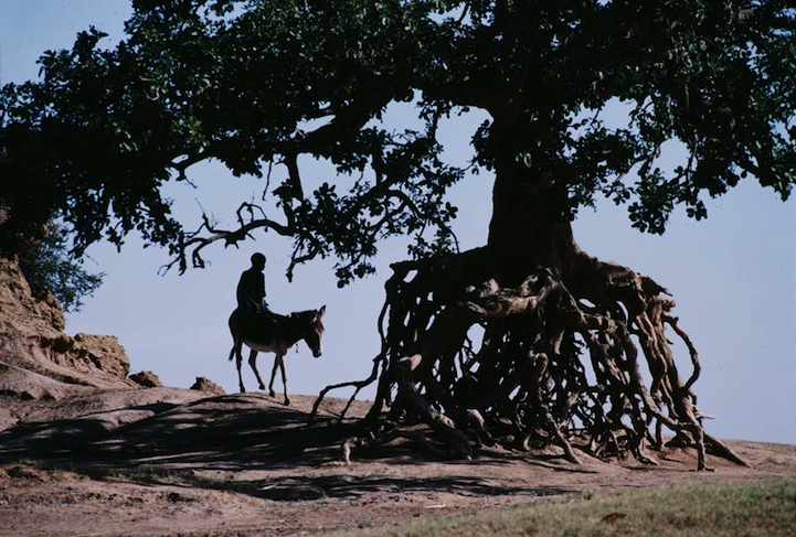 Путешествия по планете или жизнь людей в разных уголках мира Путешествия по планете или жизнь людей в разных уголках мира