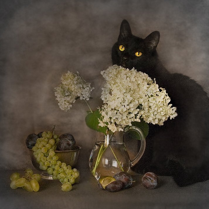 Коты с цветами