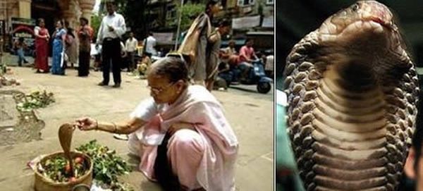 Самые нелепые браки в мире