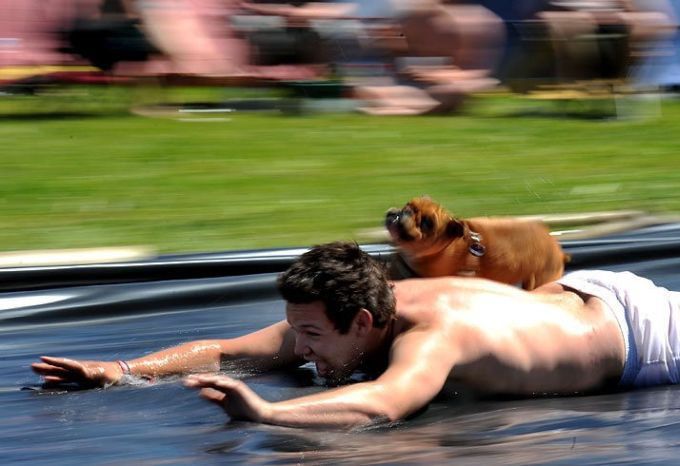 Фото в нужный момент, 