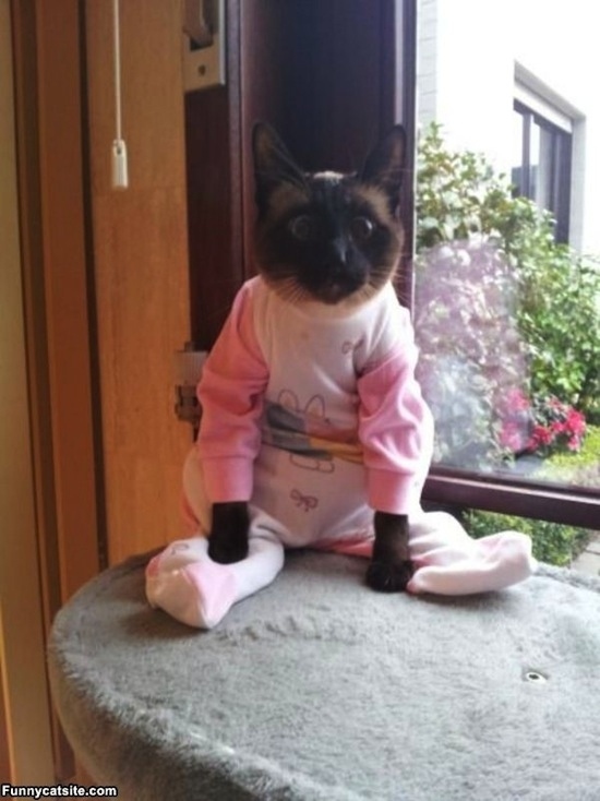 Мама, я иду спать!