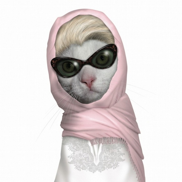 Все знакомые лица