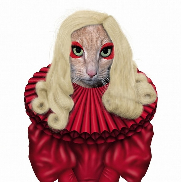 Все знакомые лица