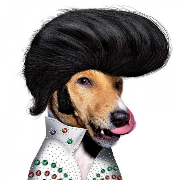 Все знакомые лица