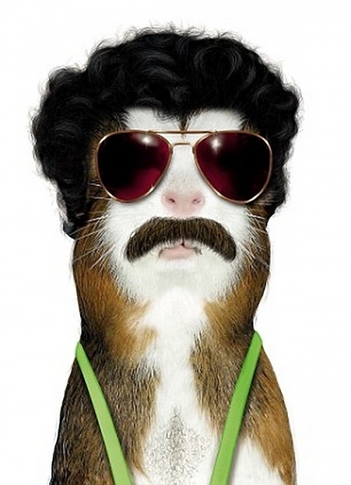 Все знакомые лица