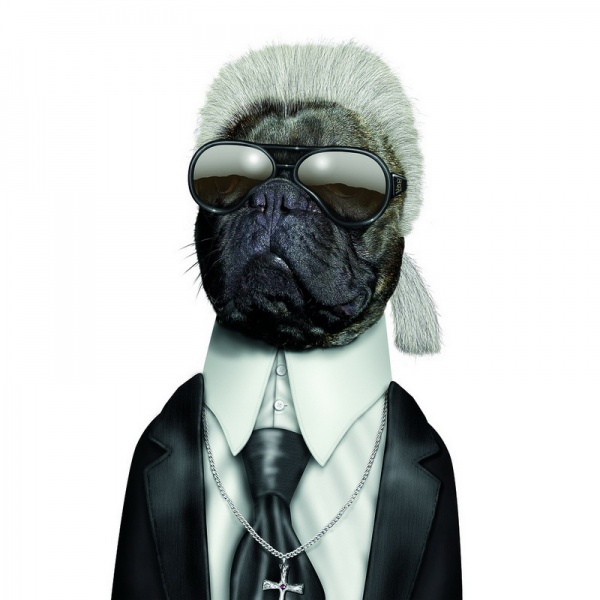 Все знакомые лица