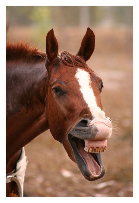 Твоя улыбка спасёт мир! Твоя улыбка спасёт мир!