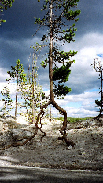 Самые экзотичные места на Земле