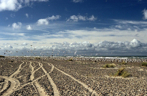 Самые экзотичные места на Земле