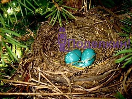 Украшения дач, дизайн, идеи, фото