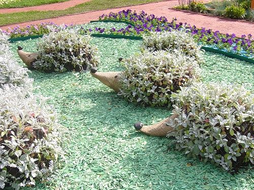 Украшения дач, дизайн, идеи, фото