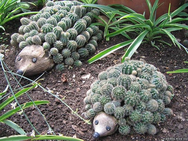 Украшения дач, дизайн, идеи, фото