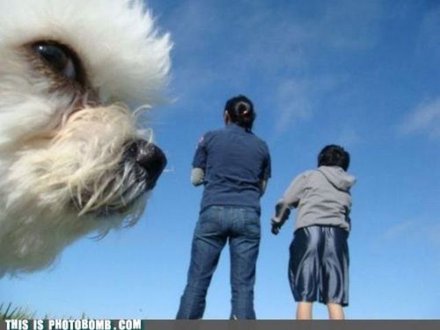 Герои второго плана или как правильно испортить фотографию