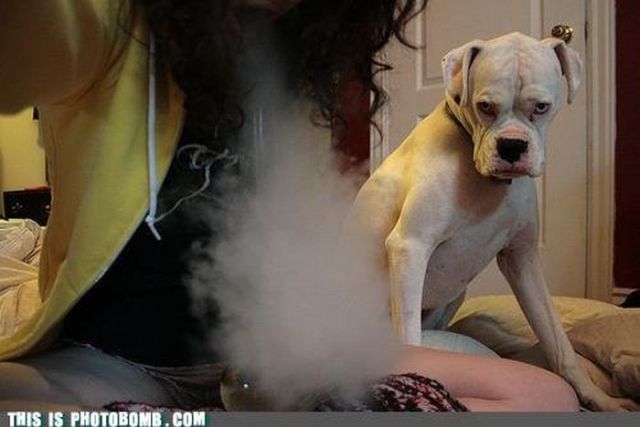 Герои второго плана или как правильно испортить фотографию