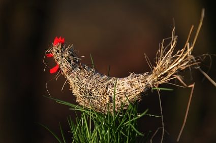 Украшения дач, дизайн, участок, фото