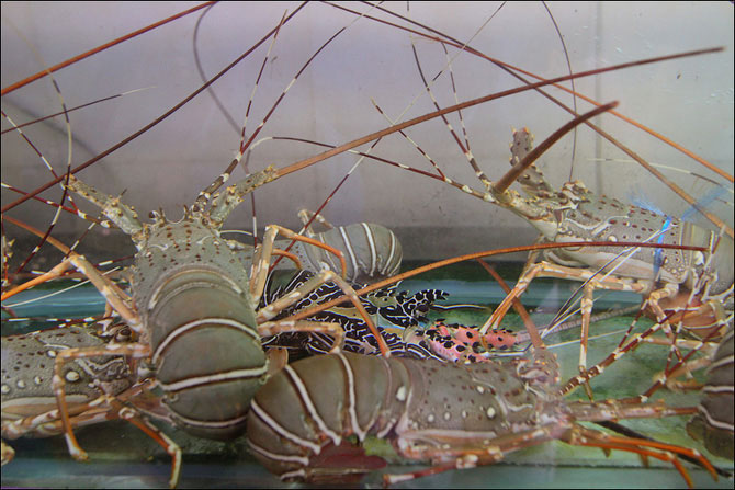 Паттайя как центр секс-туризма