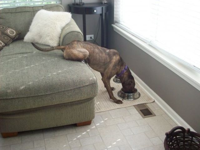 Великие лентяи современности Великие лентяи современности