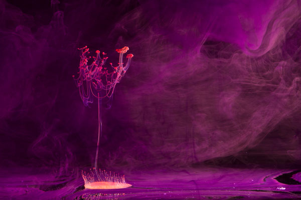 Краски, в стакане воды