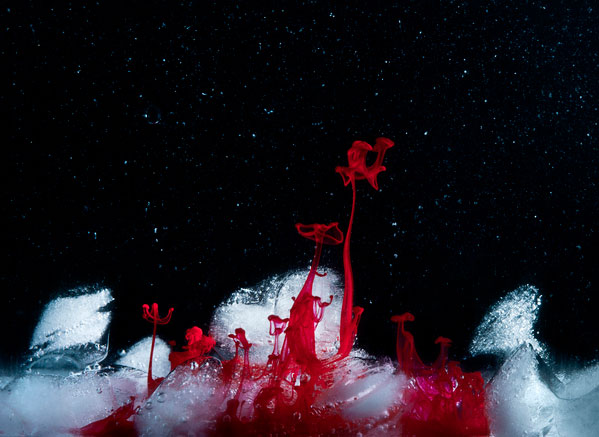 Краски, в стакане воды