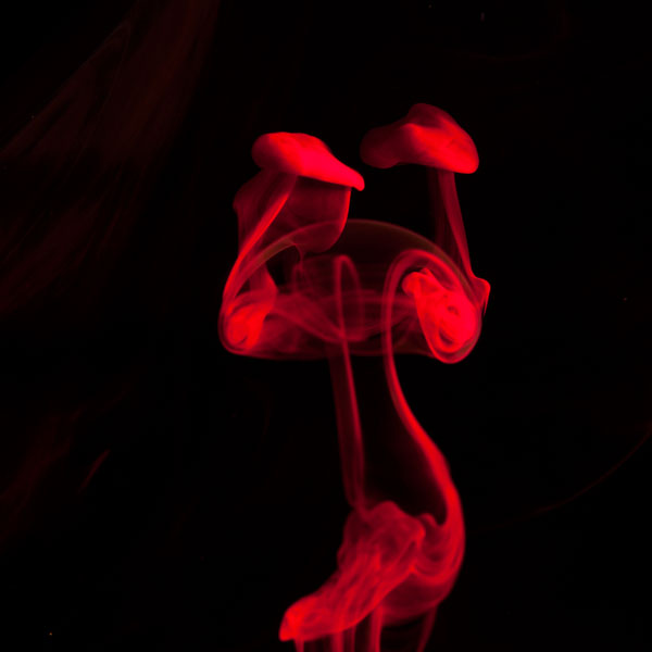 Краски, в стакане воды