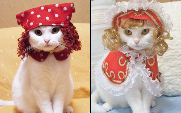 Кошачья мода по-японски