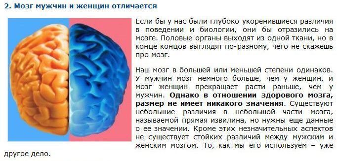 мужчины,женщины,мифы,разные,отличаются