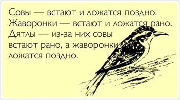 Смех продлевает жизнь картинки прикольные с надписями