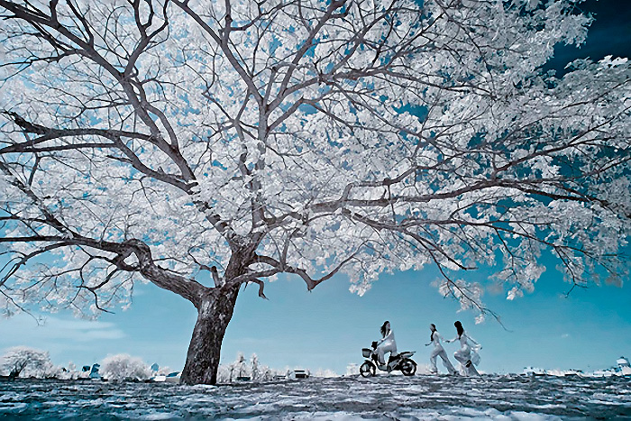 Такой прекрасный Вьетнам