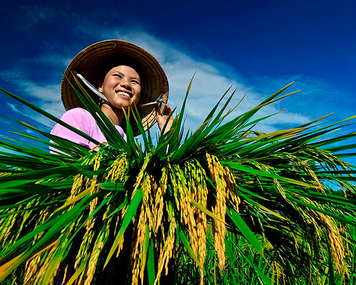 Такой прекрасный Вьетнам