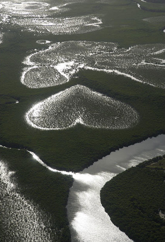 Сердца планеты или от природы с любовью Сердца планеты или от природы с любовью