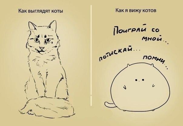 Смех продлевает жизнь.Живите вечно!