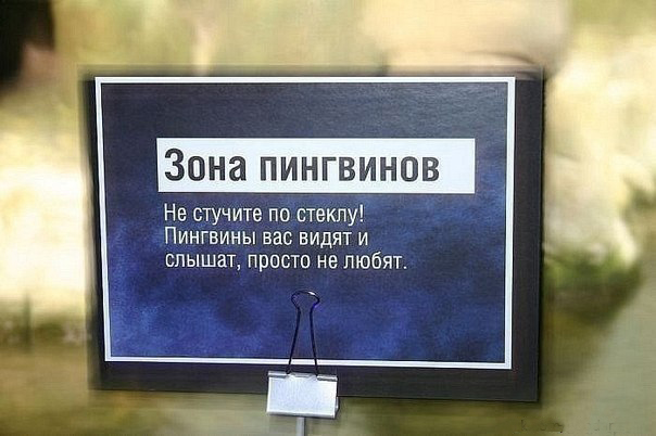 Смех продлевает жизнь.Живите вечно!