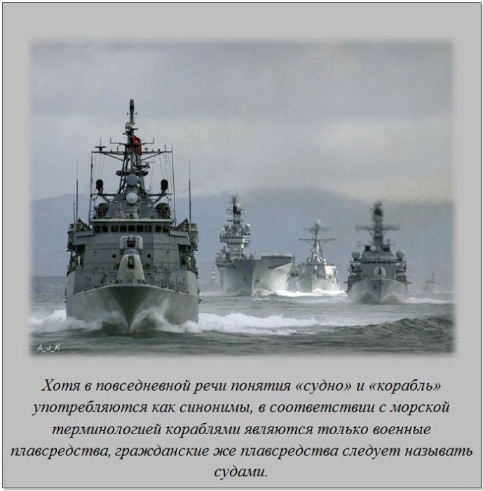 Интересные факты