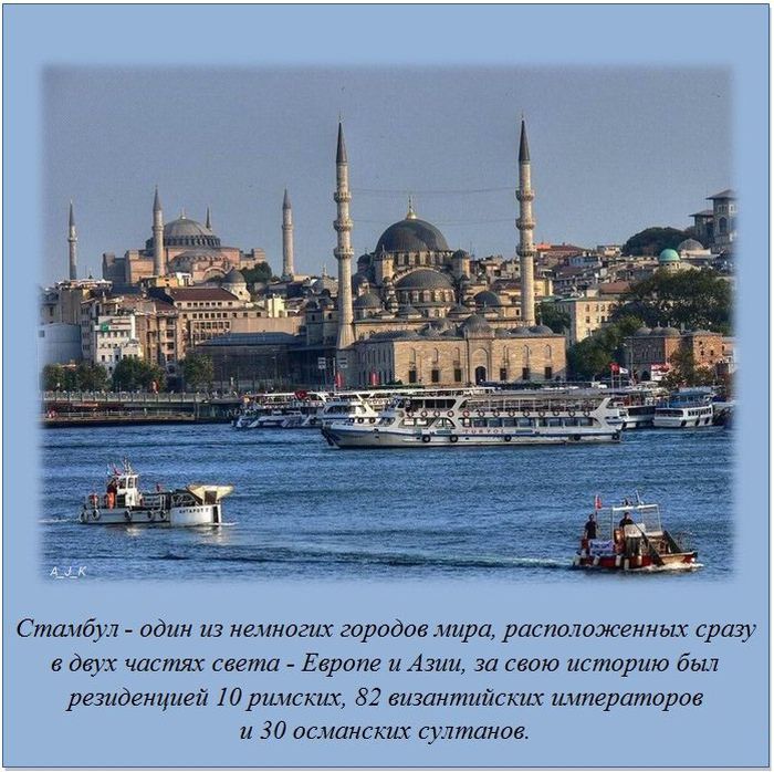 Интересные факты