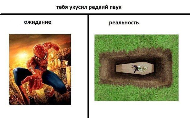 Ожидание против реальности 