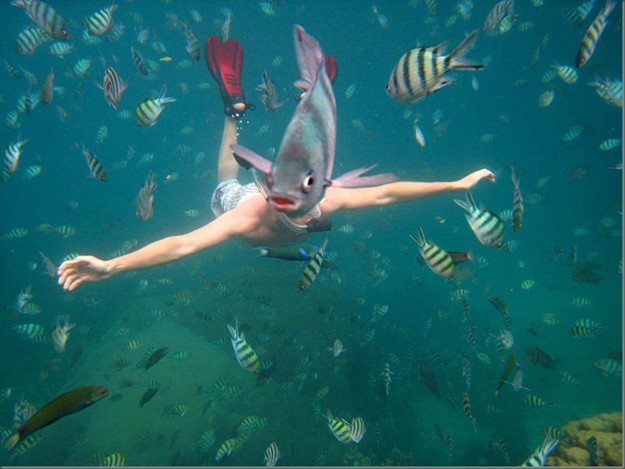 Животные испортившие фото. Или наоборот? =)