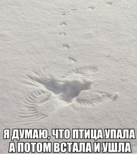 Позитив печать фото