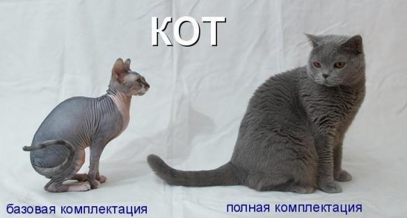Юмор по-кошачьи