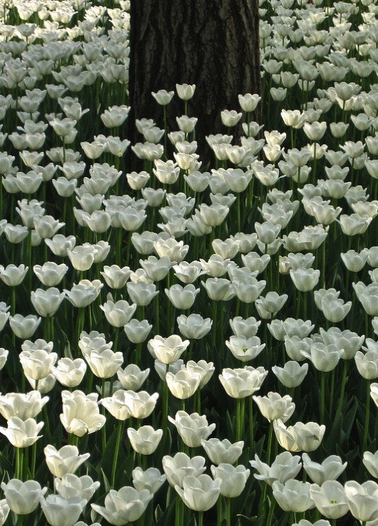 Красивые яркие картинки