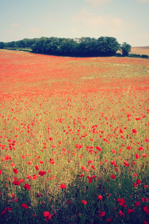 Красивые яркие картинки