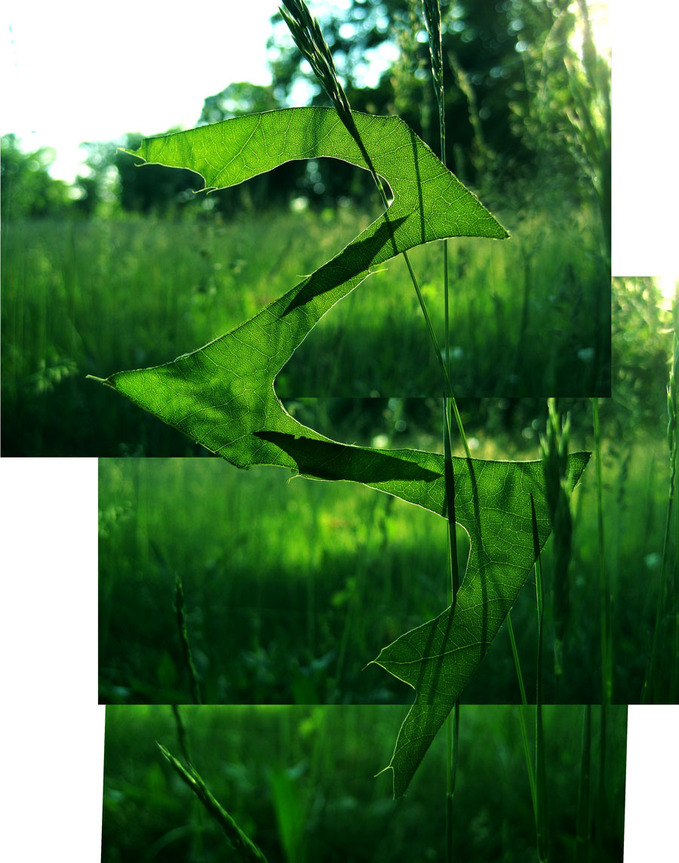 Земное искусство Уолтера Мейсона