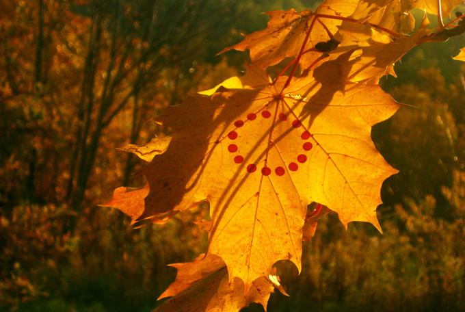 Земное искусство Уолтера Мейсона