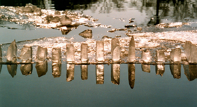 Земное искусство Уолтера Мейсона