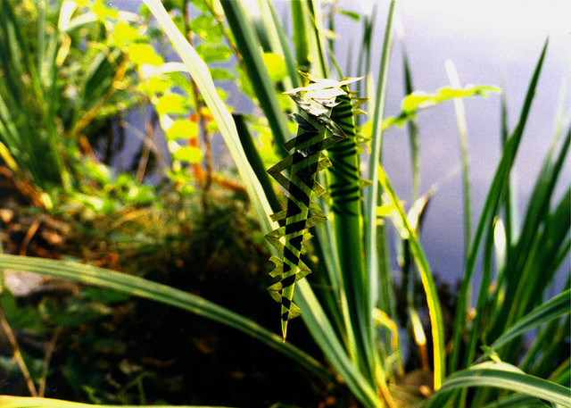 Земное искусство Уолтера Мейсона