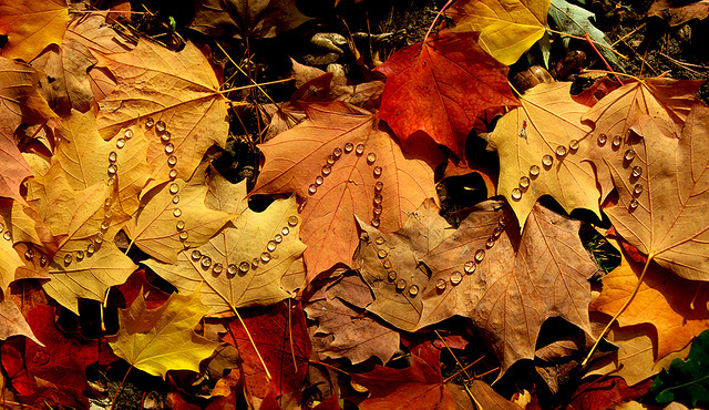 Земное искусство Уолтера Мейсона