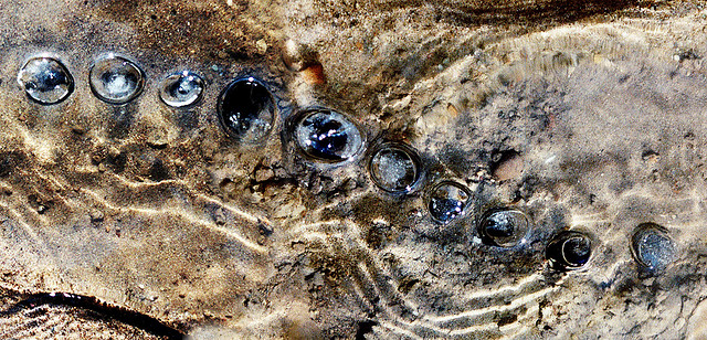 Земное искусство Уолтера Мейсона