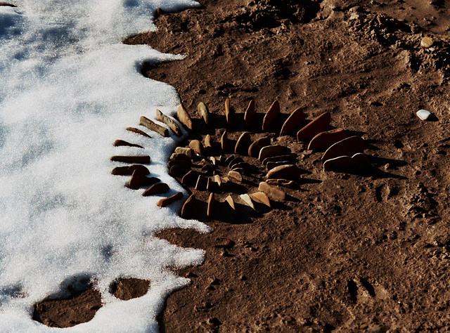 Земное искусство Уолтера Мейсона