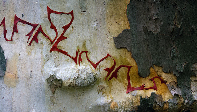 Земное искусство Уолтера Мейсона