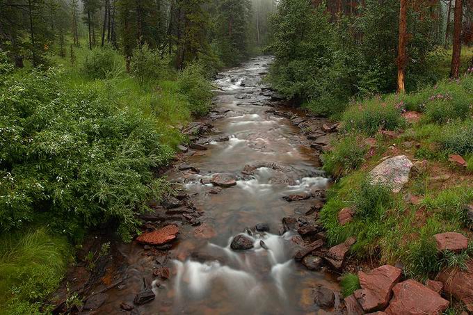 Фотограф планеты Нэйт Земан