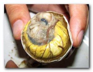 10 самых мерзких деликатесов